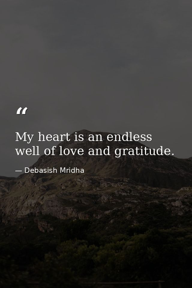 My heart is an endless well of love and gratitude. — Debasish Mridha