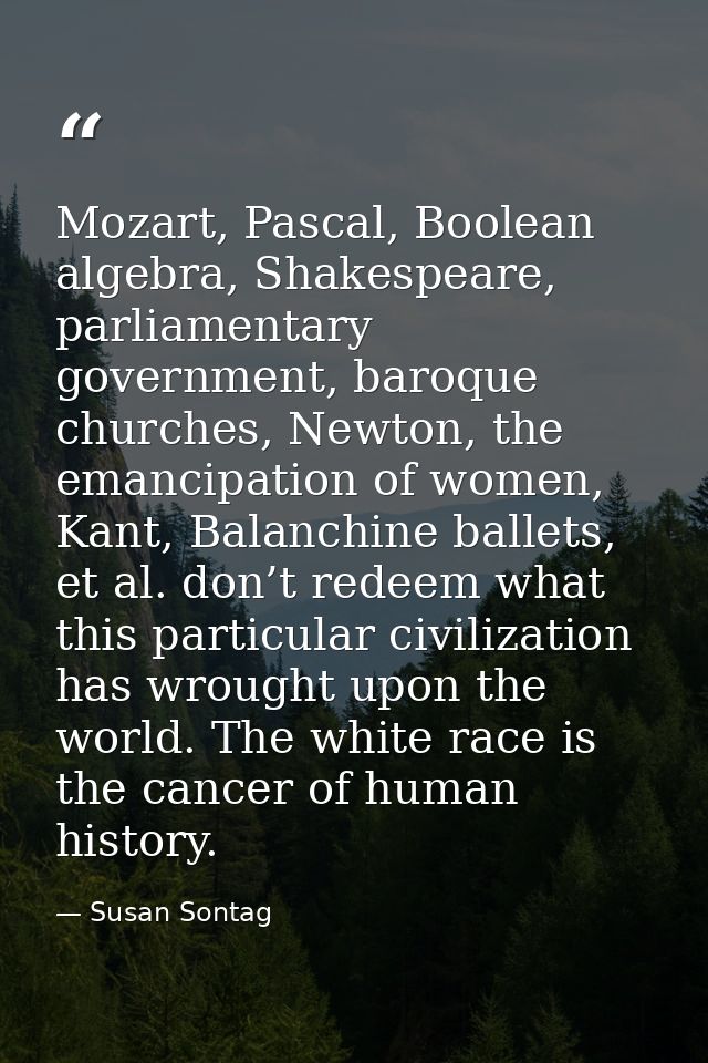 Mozart, Pascal, Boolean algebra, Shakespeare, parliamentary government, baroque churches, Newton, the emancipation of wo — Susan Sontag