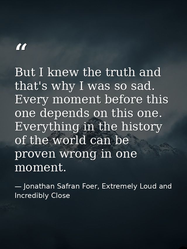 But I knew the truth and that's why I was so sad. Every moment before this one depends on this one. Everything in the hi — Jonathan Safran Foer, Extremely Loud and Incredibly Close