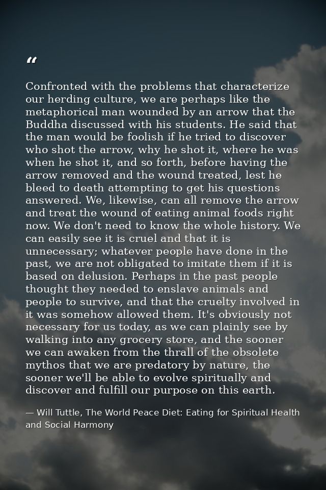 Confronted with the problems that characterize our herding culture, we are perhaps like the metaphorical man wounded by  — Will Tuttle, The World Peace Diet: Eating for Spiritual Health and Social Harmony