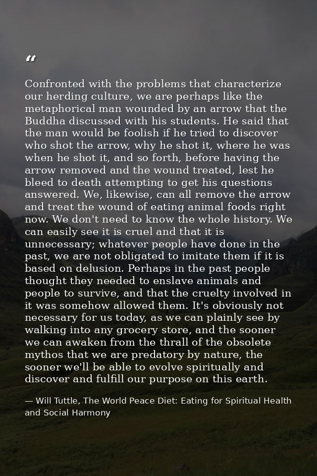 Confronted with the problems that characterize our herding culture, we are perhaps like the metaphorical man wounded by  — Will Tuttle, The World Peace Diet: Eating for Spiritual Health and Social Harmony