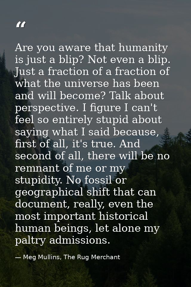 Are you aware that humanity is just a blip? Not even a blip. Just a fraction of a fraction of what the universe has been — Meg Mullins, The Rug Merchant