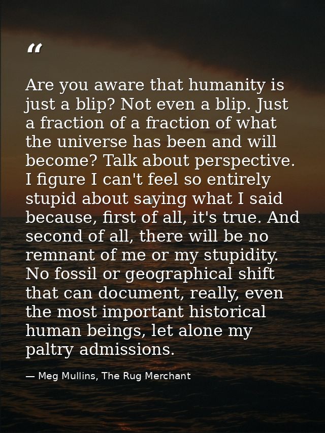 Are you aware that humanity is just a blip? Not even a blip. Just a fraction of a fraction of what the universe has been — Meg Mullins, The Rug Merchant