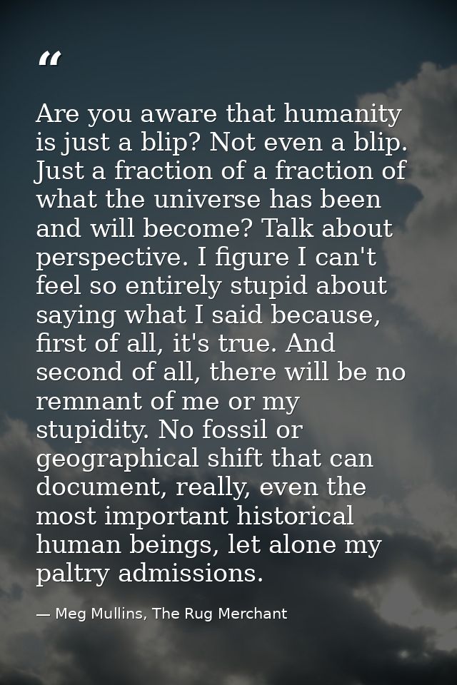 Are you aware that humanity is just a blip? Not even a blip. Just a fraction of a fraction of what the universe has been — Meg Mullins, The Rug Merchant
