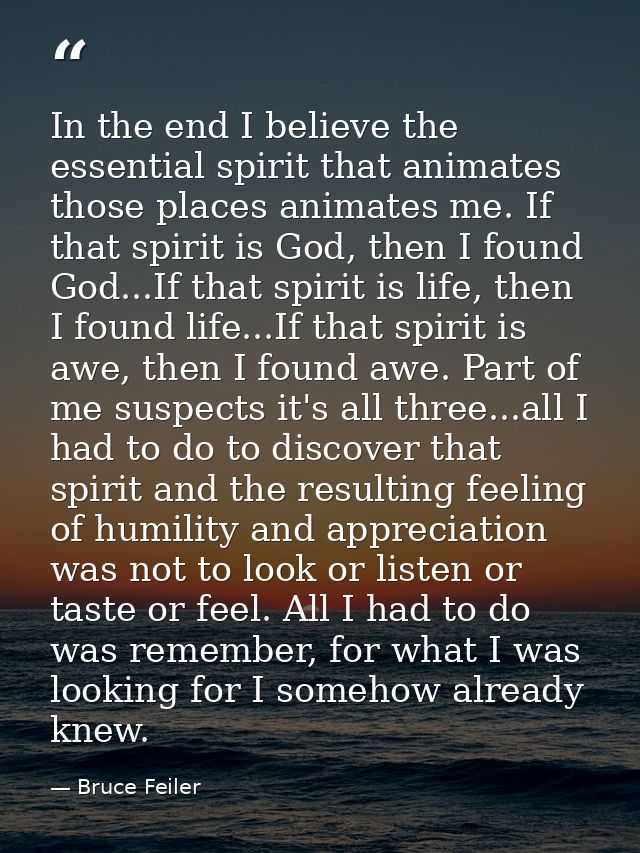 In the end I believe the essential spirit that animates those places animates me. If that spirit is God, then I found Go — Bruce Feiler