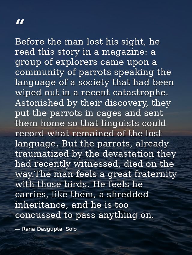 Before the man lost his sight, he read this story in a magazine: a group of explorers came upon a community of parrots s — Rana Dasgupta, Solo