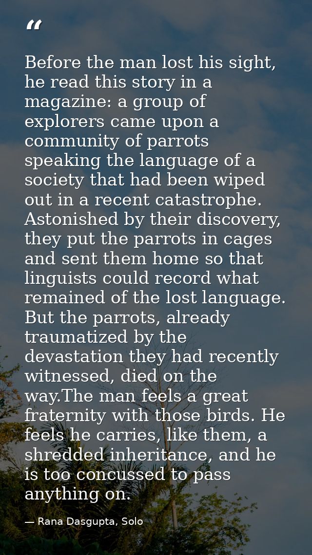 Before the man lost his sight, he read this story in a magazine: a group of explorers came upon a community of parrots s — Rana Dasgupta, Solo