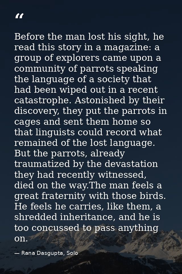 Before the man lost his sight, he read this story in a magazine: a group of explorers came upon a community of parrots s — Rana Dasgupta, Solo