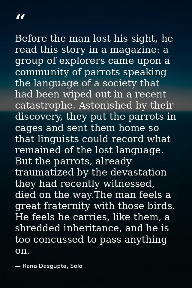 Before the man lost his sight, he read this story in a magazine: a group of explorers came upon a community of parrots s — Rana Dasgupta, Solo