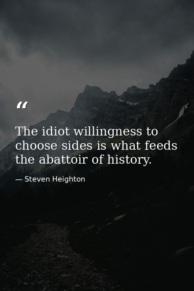 The idiot willingness to choose sides is what feeds the abattoir of history. — Steven Heighton