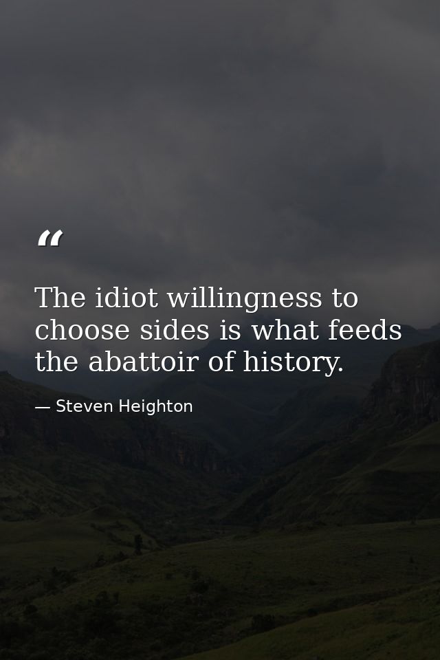 The idiot willingness to choose sides is what feeds the abattoir of history. — Steven Heighton