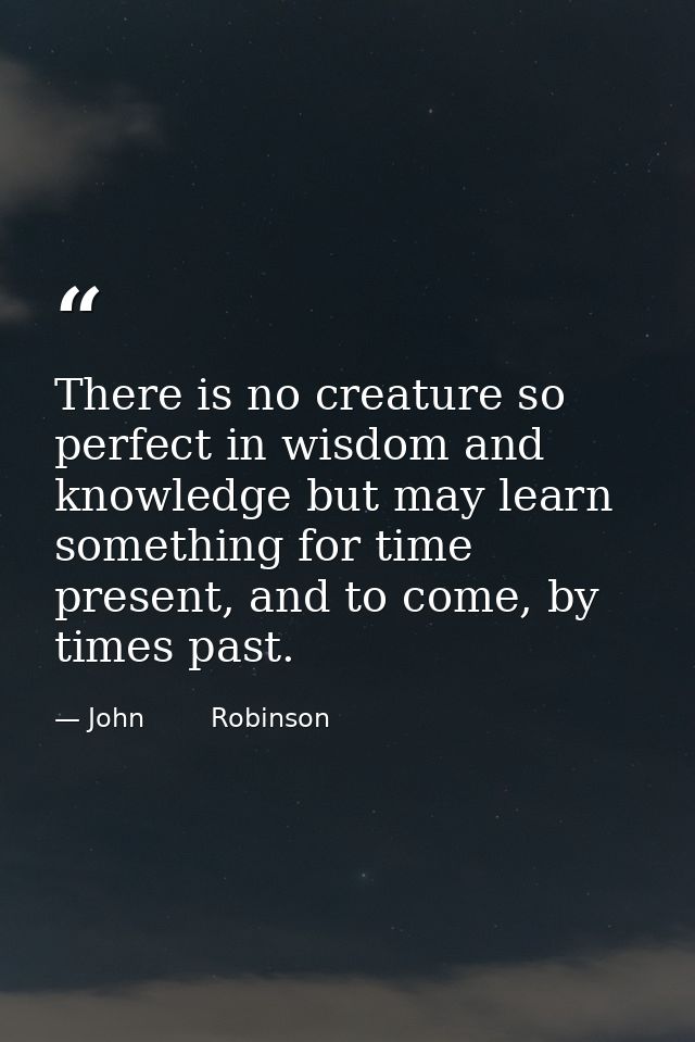 There is no creature so perfect in wisdom and knowledge but may learn something for time present, and to come, by times  — John        Robinson
