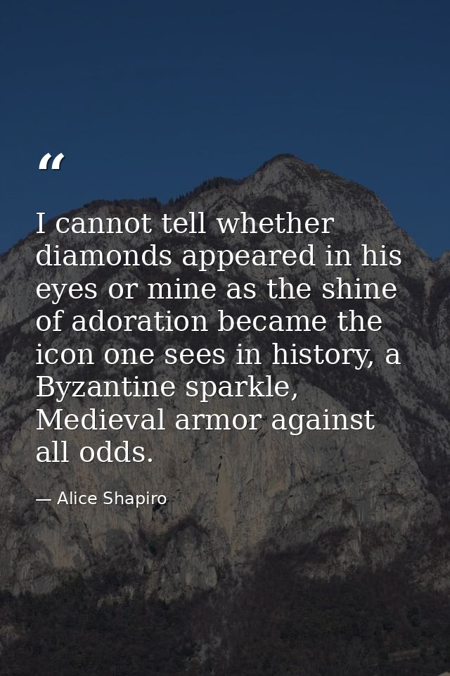 I cannot tell whether diamonds appeared in his eyes or mine as the shine of adoration became the icon one sees in histor — Alice Shapiro