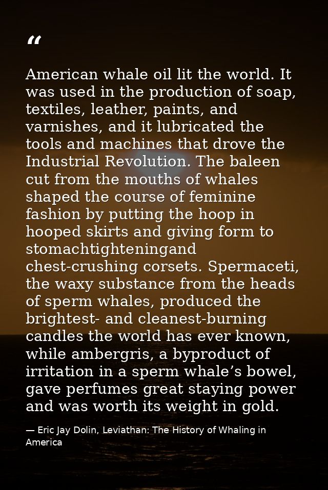 American whale oil lit the world. It was used in the production of soap, textiles, leather, paints, and varnishes, and i — Eric Jay Dolin, Leviathan: The History of Whaling in America