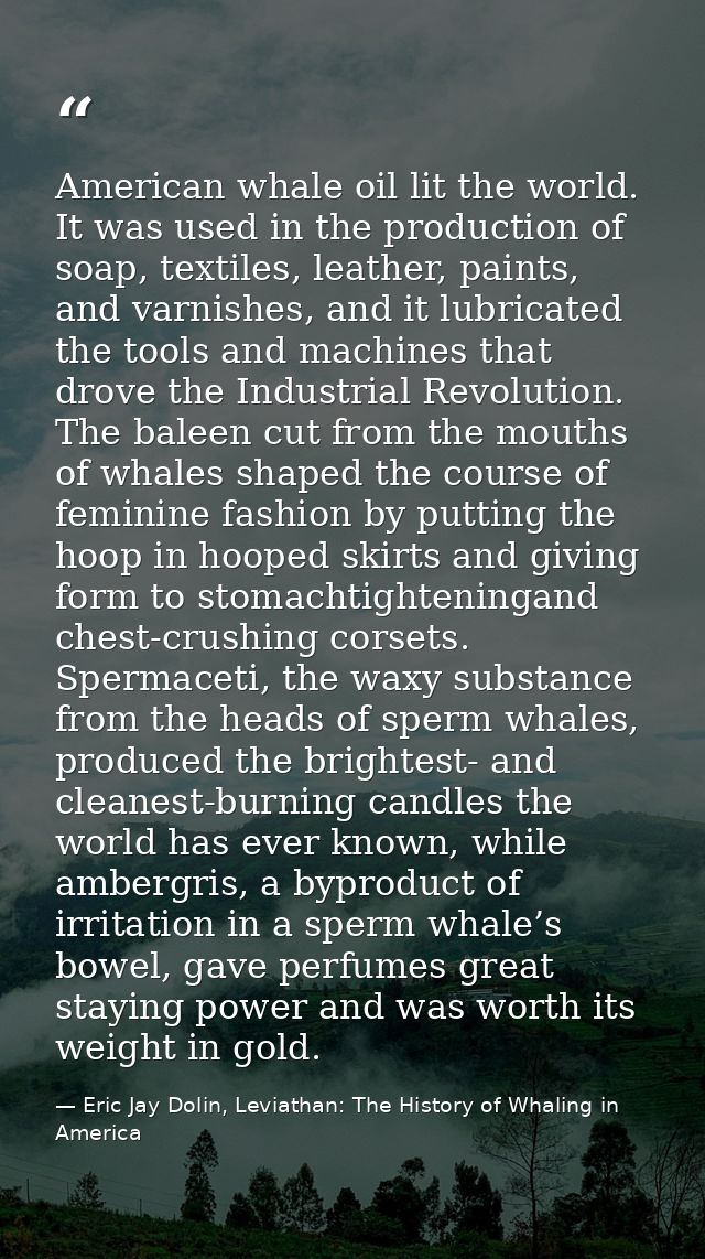 American whale oil lit the world. It was used in the production of soap, textiles, leather, paints, and varnishes, and i — Eric Jay Dolin, Leviathan: The History of Whaling in America