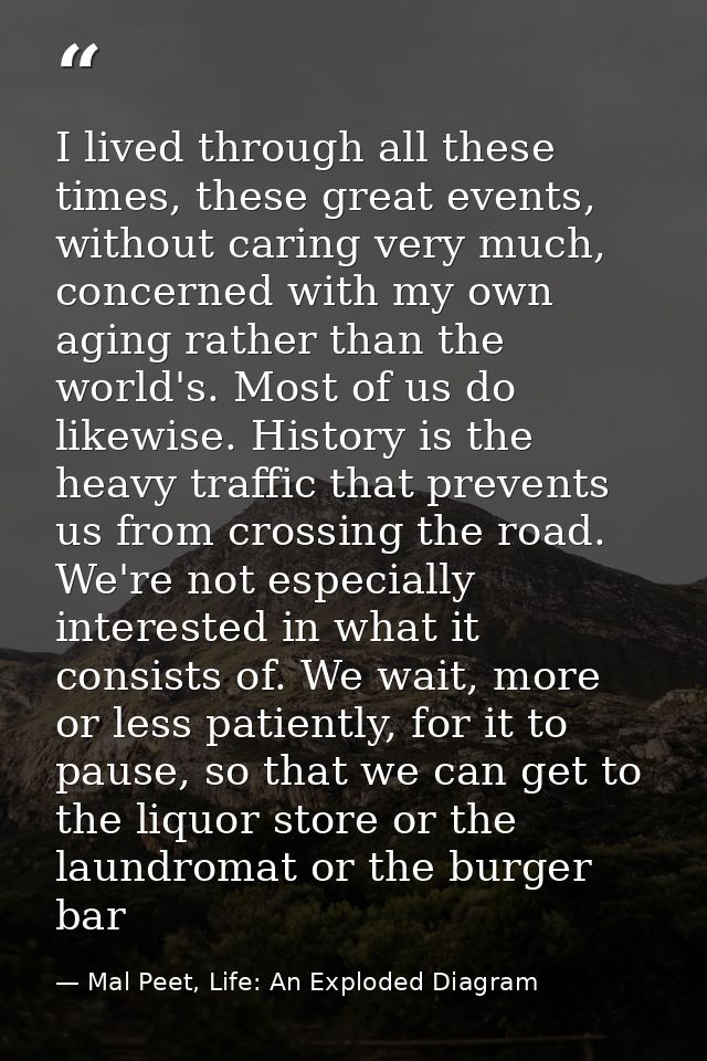 I lived through all these times, these great events, without caring very much, concerned with my own aging rather than t — Mal Peet, Life: An Exploded Diagram