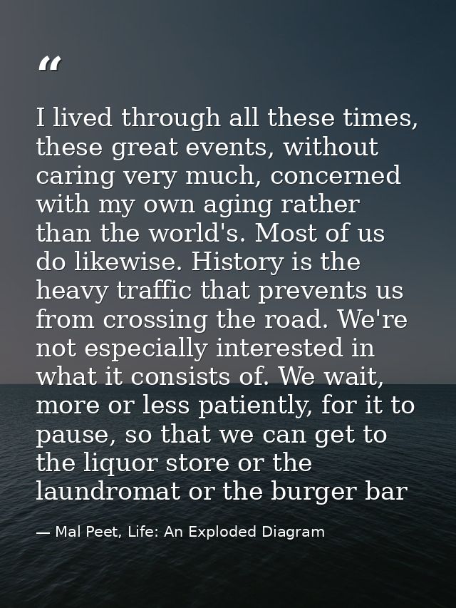I lived through all these times, these great events, without caring very much, concerned with my own aging rather than t — Mal Peet, Life: An Exploded Diagram