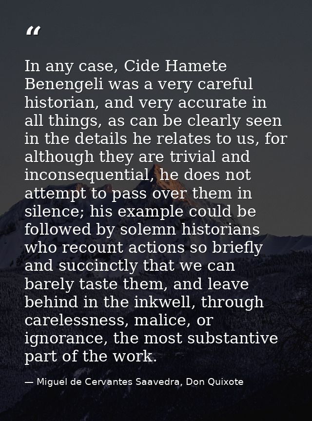 In any case, Cide Hamete Benengeli was a very careful historian, and very accurate in all things, as can be clearly seen — Miguel de Cervantes Saavedra, Don Quixote