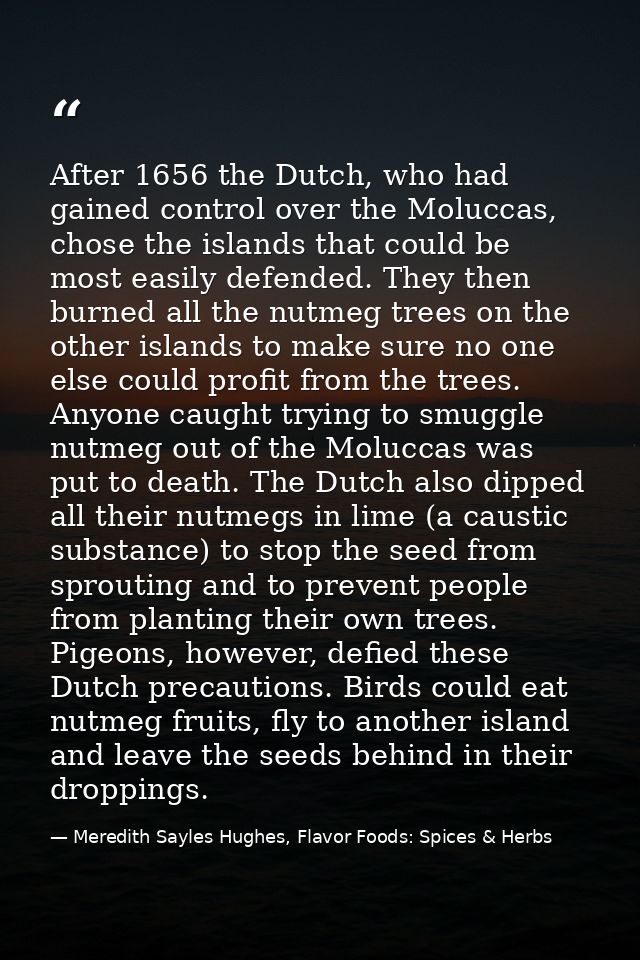 After 1656 the Dutch, who had gained control over the Moluccas, chose the islands that could be most easily defended. Th — Meredith Sayles Hughes, Flavor Foods: Spices & Herbs