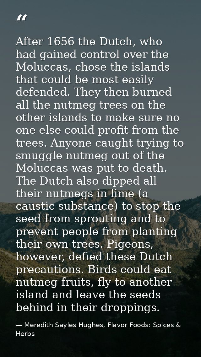 After 1656 the Dutch, who had gained control over the Moluccas, chose the islands that could be most easily defended. Th — Meredith Sayles Hughes, Flavor Foods: Spices & Herbs