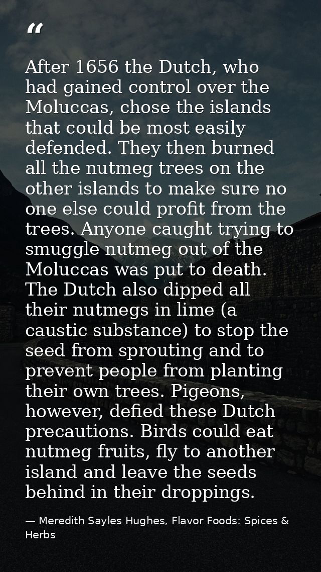 After 1656 the Dutch, who had gained control over the Moluccas, chose the islands that could be most easily defended. Th — Meredith Sayles Hughes, Flavor Foods: Spices & Herbs
