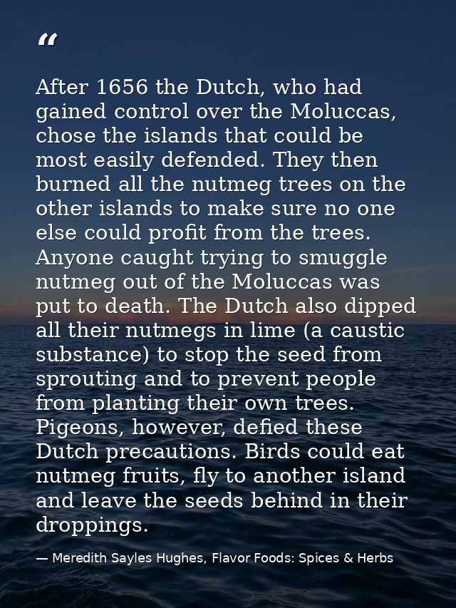 After 1656 the Dutch, who had gained control over the Moluccas, chose the islands that could be most easily defended. Th — Meredith Sayles Hughes, Flavor Foods: Spices & Herbs
