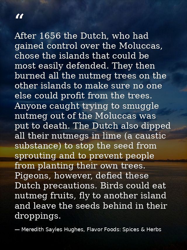 After 1656 the Dutch, who had gained control over the Moluccas, chose the islands that could be most easily defended. Th — Meredith Sayles Hughes, Flavor Foods: Spices & Herbs