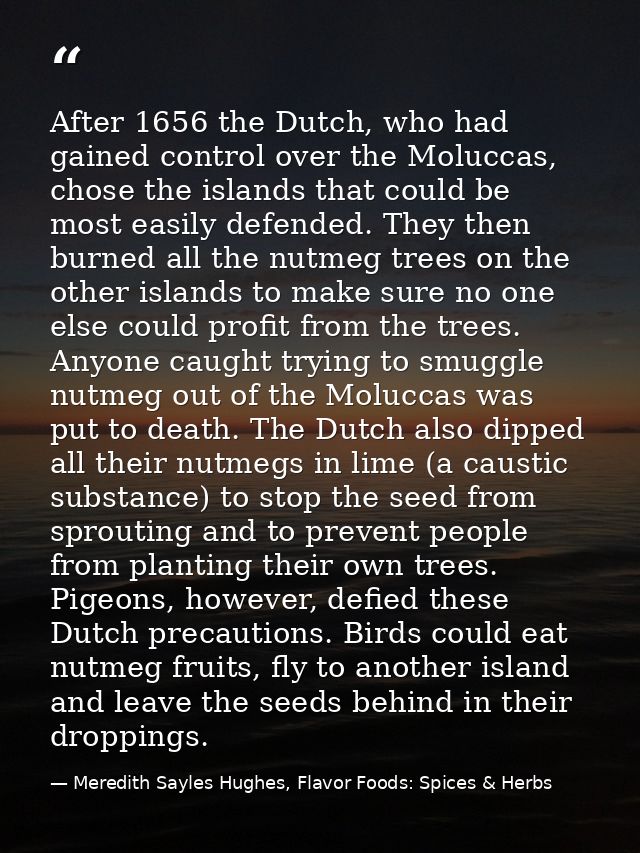After 1656 the Dutch, who had gained control over the Moluccas, chose the islands that could be most easily defended. Th — Meredith Sayles Hughes, Flavor Foods: Spices & Herbs