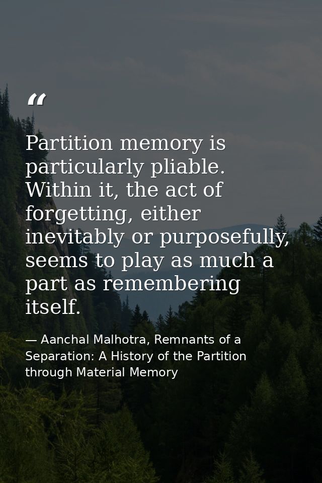 Partition memory is particularly pliable. Within it, the act of forgetting, either inevitably or purposefully, seems to  — Aanchal Malhotra, Remnants of a Separation: A History of the Partition through Material Memory