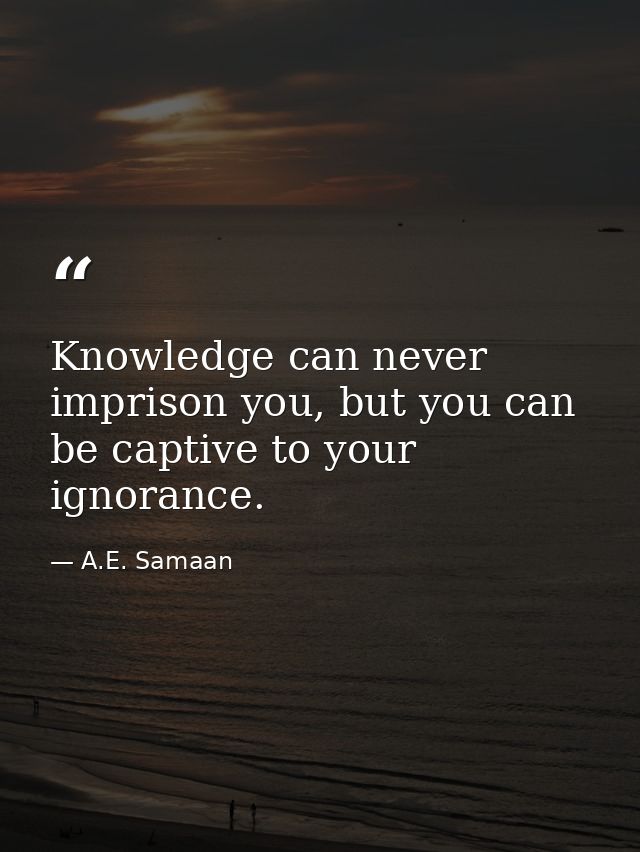 Knowledge can never imprison you, but you can be captive to your ignorance. — A.E. Samaan