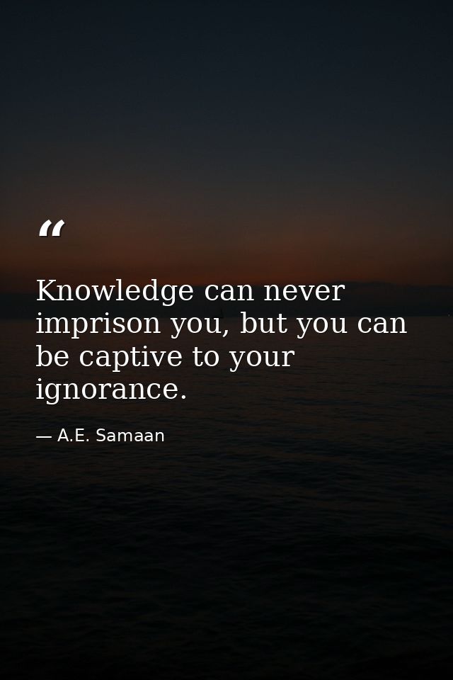 Knowledge can never imprison you, but you can be captive to your ignorance. — A.E. Samaan