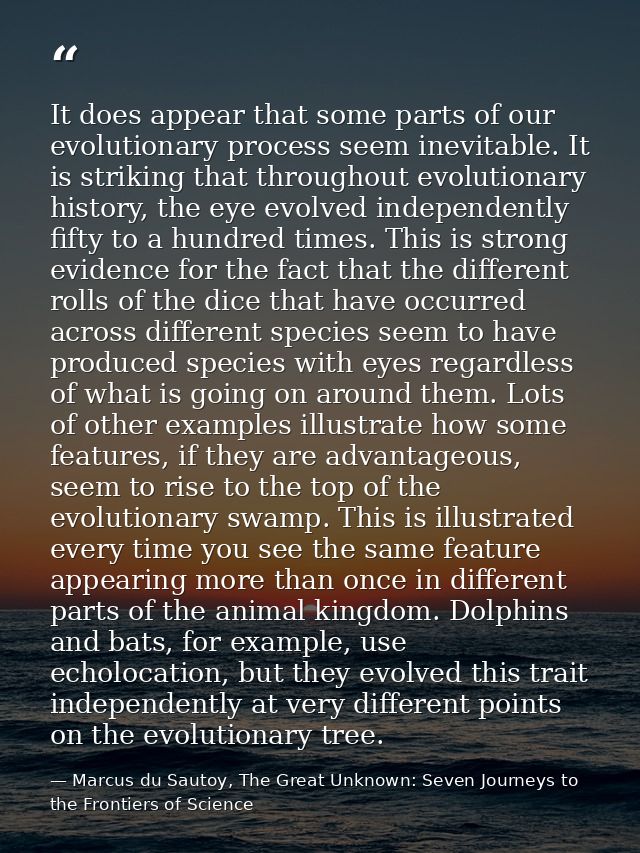 It does appear that some parts of our evolutionary process seem inevitable. It is striking that throughout evolutionary  — Marcus du Sautoy, The Great Unknown: Seven Journeys to the Frontiers of Science