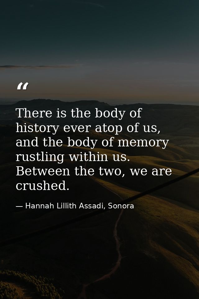There is the body of history ever atop of us, and the body of memory rustling within us. Between the two, we are crushed — Hannah Lillith Assadi, Sonora