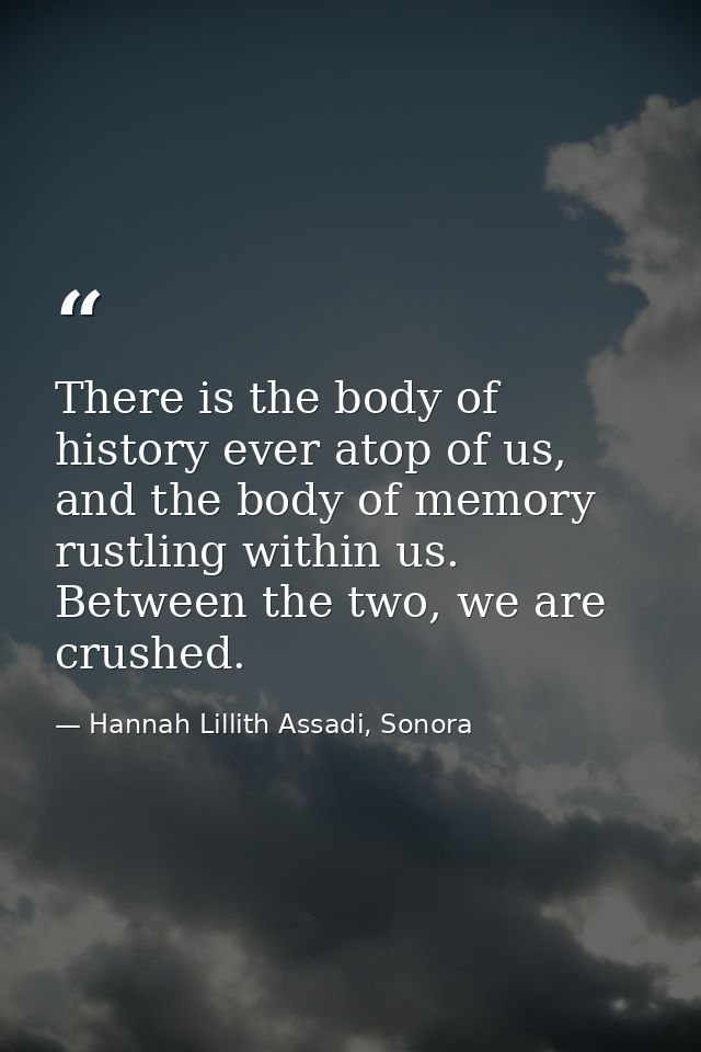 There is the body of history ever atop of us, and the body of memory rustling within us. Between the two, we are crushed — Hannah Lillith Assadi, Sonora