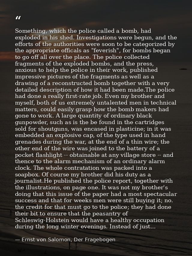 Something, which the police called a bomb, had exploded in his shed. Investigations were begun, and the efforts of the a — Ernst von Salomon, Der Fragebogen