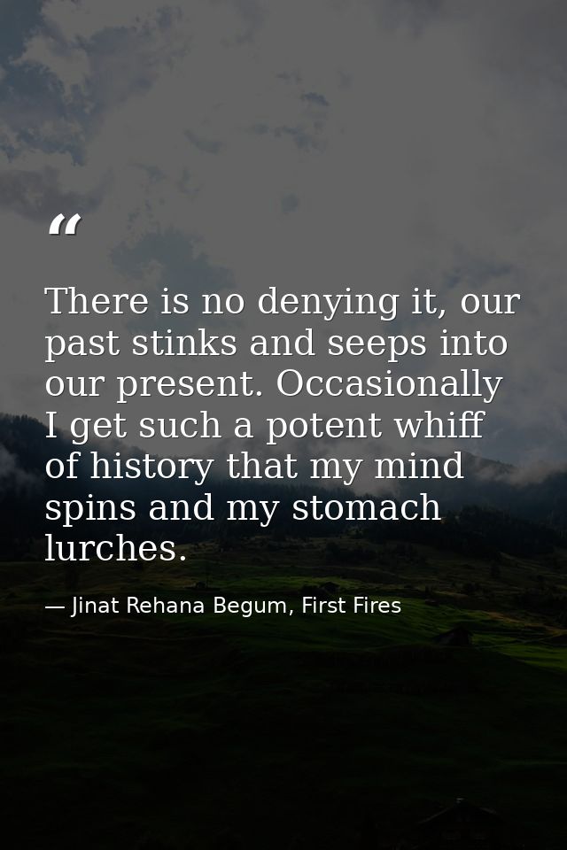There is no denying it, our past stinks and seeps into our present. Occasionally I get such a potent whiff of history th — Jinat Rehana Begum, First Fires