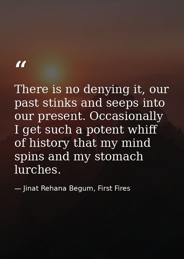 There is no denying it, our past stinks and seeps into our present. Occasionally I get such a potent whiff of history th — Jinat Rehana Begum, First Fires