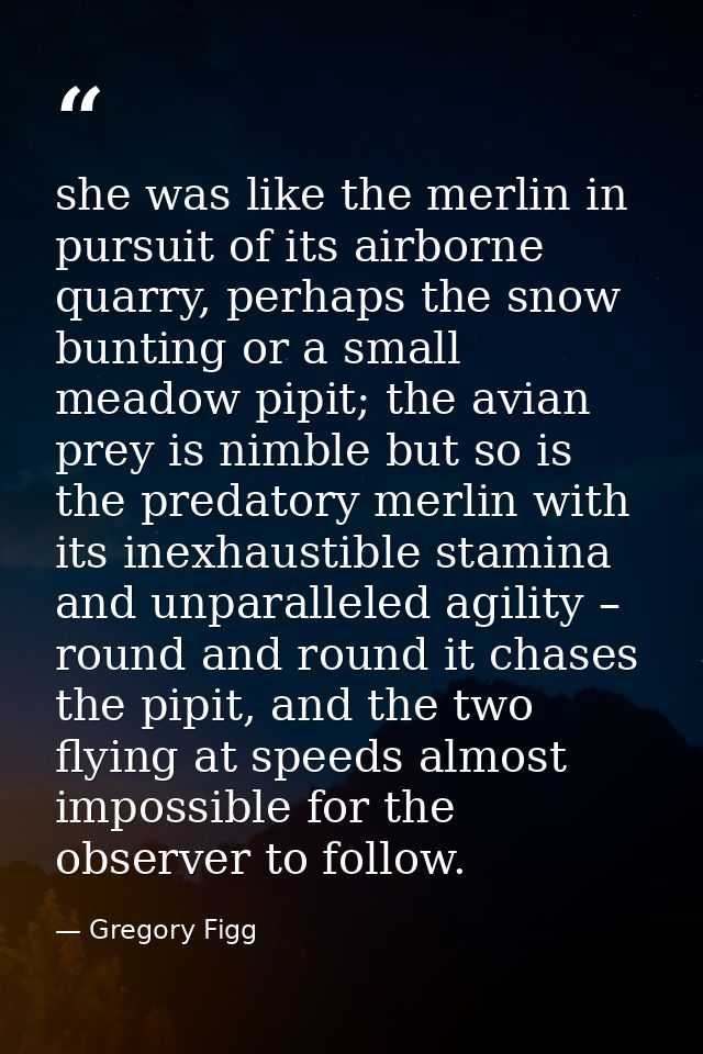 she was like the merlin in pursuit of its airborne quarry, perhaps the snow bunting or a small meadow pipit; the avian p — Gregory Figg