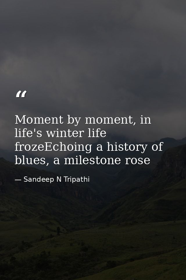 Moment by moment, in life's winter life frozeEchoing a history of blues, a milestone rose — Sandeep N Tripathi