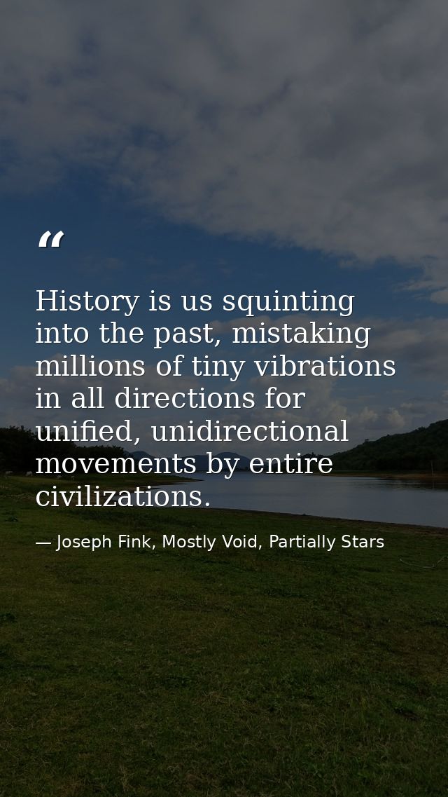 History is us squinting into the past, mistaking millions of tiny vibrations in all directions for unified, unidirection — Joseph Fink, Mostly Void, Partially Stars