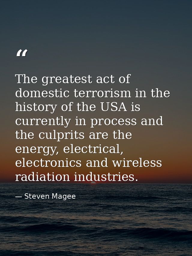 The greatest act of domestic terrorism in the history of the USA is currently in process and the culprits are the energy — Steven Magee