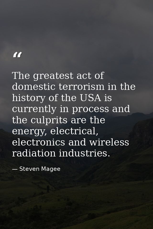 The greatest act of domestic terrorism in the history of the USA is currently in process and the culprits are the energy — Steven Magee