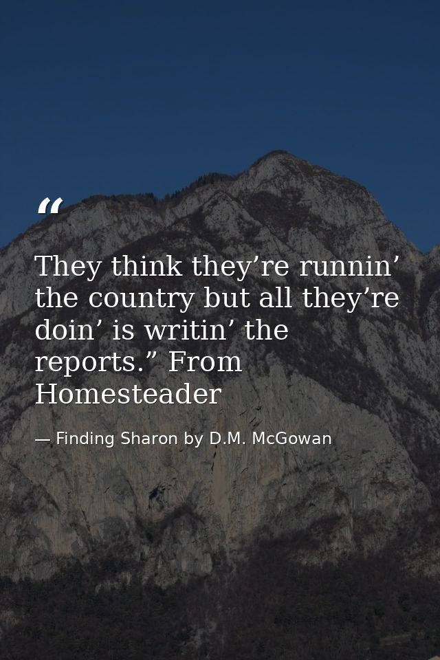 They think they’re runnin’ the country but all they’re doin’ is writin’ the reports.” From Homesteader — Finding Sharon by D.M. McGowan
