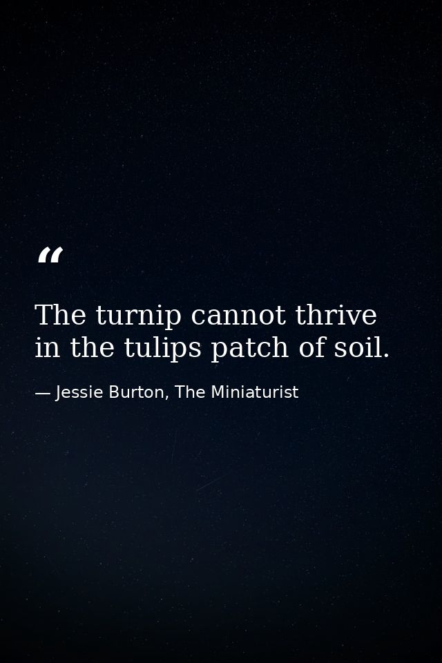 The turnip cannot thrive in the tulips patch of soil. — Jessie Burton, The Miniaturist