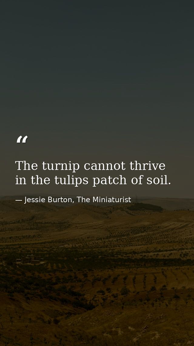 The turnip cannot thrive in the tulips patch of soil. — Jessie Burton, The Miniaturist