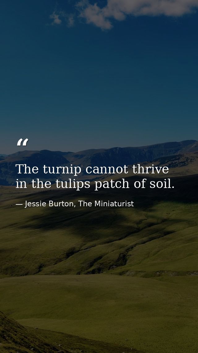 The turnip cannot thrive in the tulips patch of soil. — Jessie Burton, The Miniaturist
