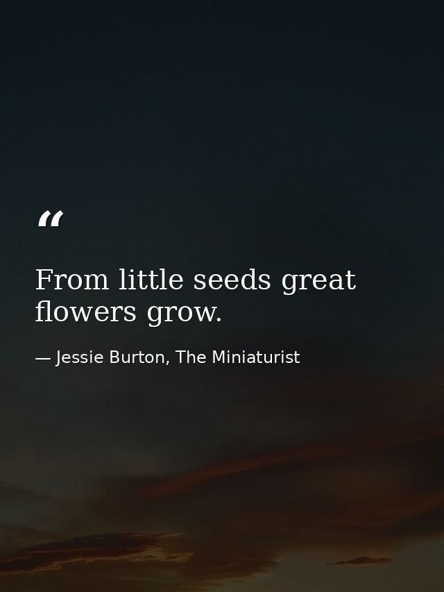 From little seeds great flowers grow. — Jessie Burton, The Miniaturist