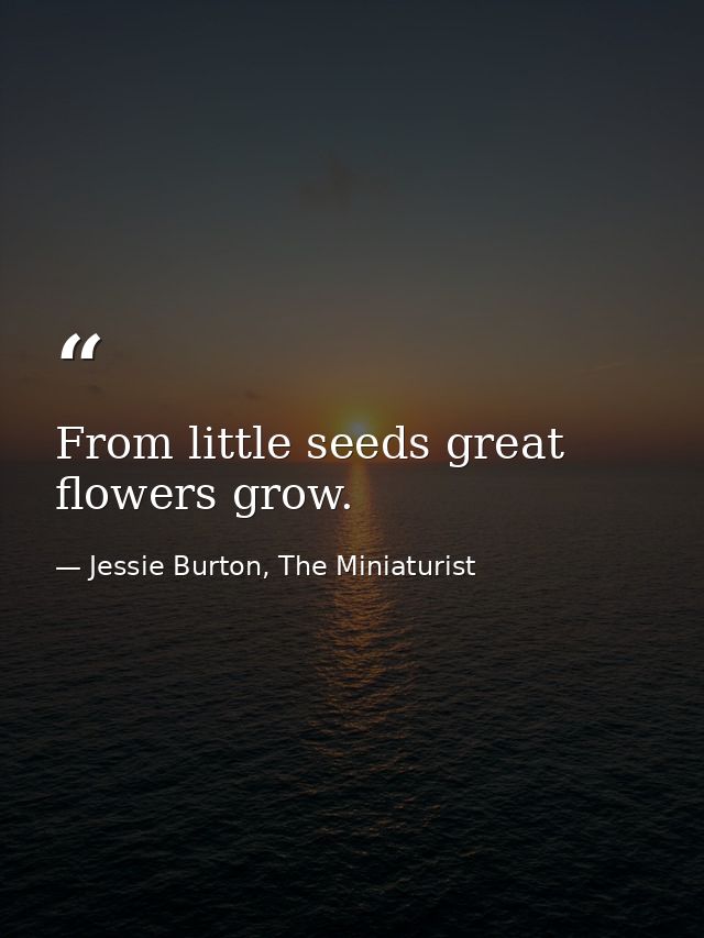 From little seeds great flowers grow. — Jessie Burton, The Miniaturist