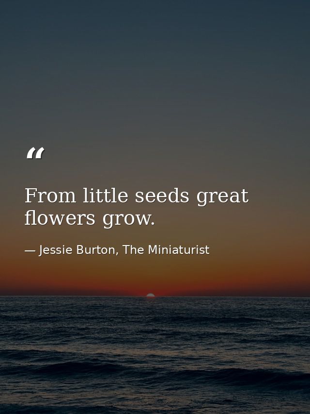 From little seeds great flowers grow. — Jessie Burton, The Miniaturist