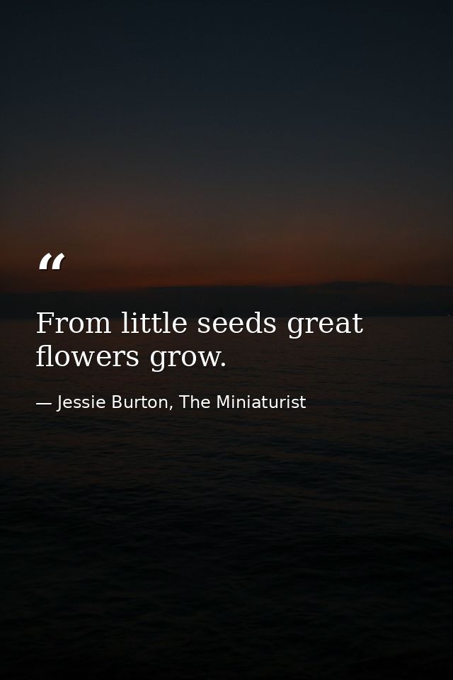From little seeds great flowers grow. — Jessie Burton, The Miniaturist